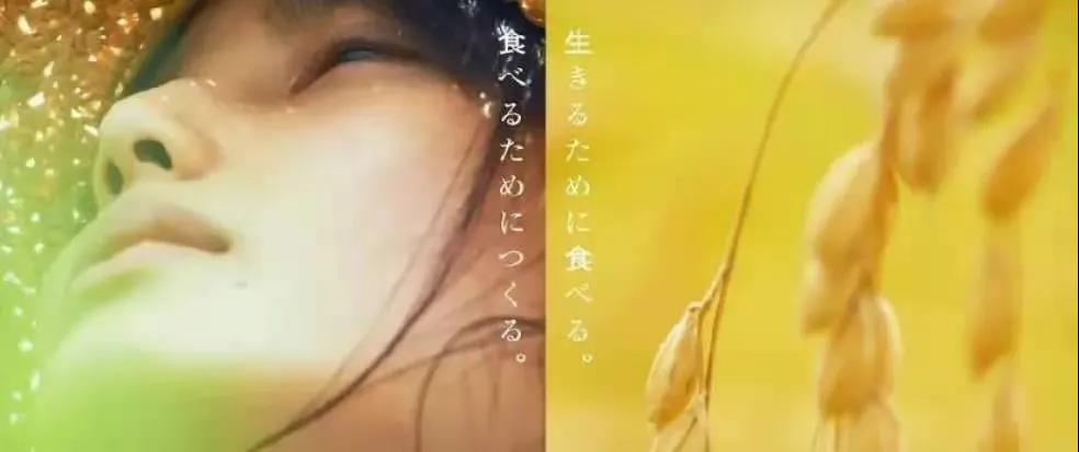 WDCM上傳圖片